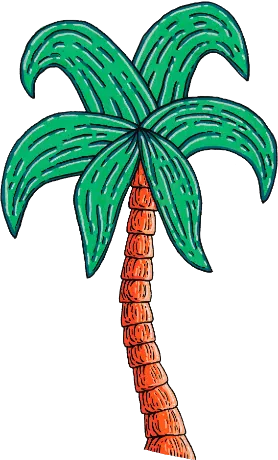 ポップアップショップ情報